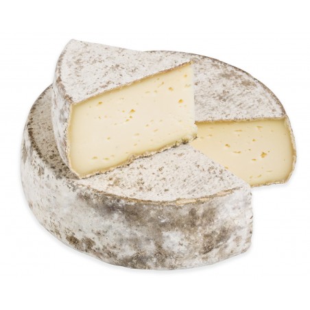 TOMME DE SAVOIE