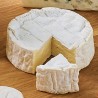 CAMEMBERT