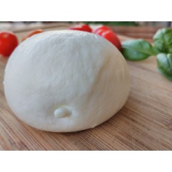 MOZZARELLA