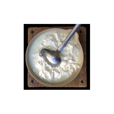 FROMAGE BLANC DE CAMPAGNE