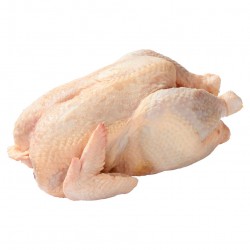 POULE