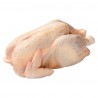 POULE