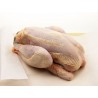 POULET FERMIER LABEL ROUGE