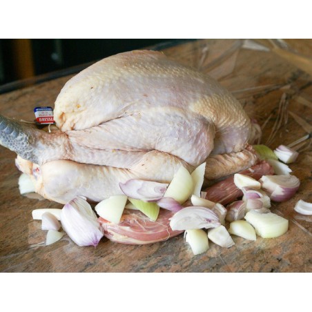 POULET DE BRESSE