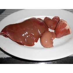 FOIE DE CHEVREAU